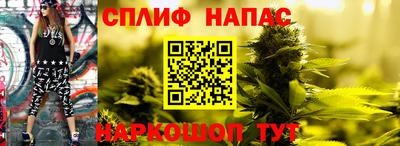 гидра Жуковский