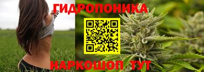 гидра Жуковский