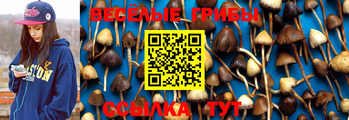 Галлюциногенные грибы мухоморы Магнитогорск